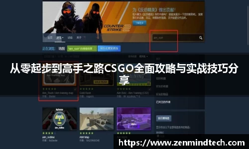 从零起步到高手之路CSGO全面攻略与实战技巧分享